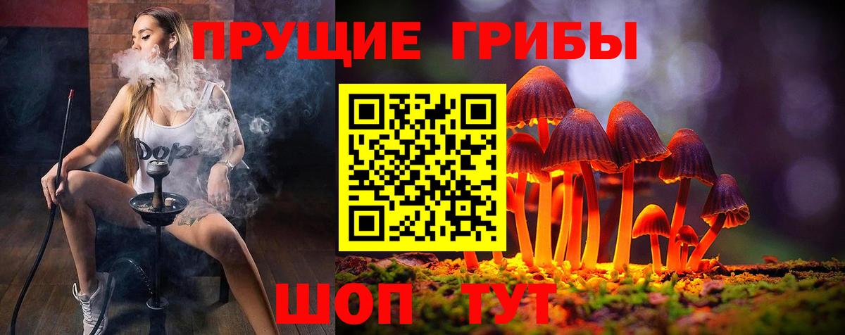 Псилоцибиновые грибы мухоморы Азов